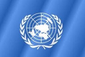 ООН: Новые законы Украины нарушают права человека